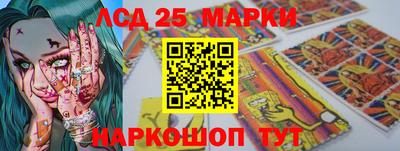 крисы Аргун