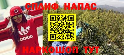 крисы Аргун