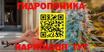 крисы Аргун