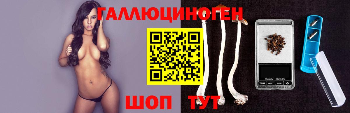 Галлюциногенные грибы Psilocybe  Вход с VPN  Выборг  Псилоцибиновые грибы мухоморы 